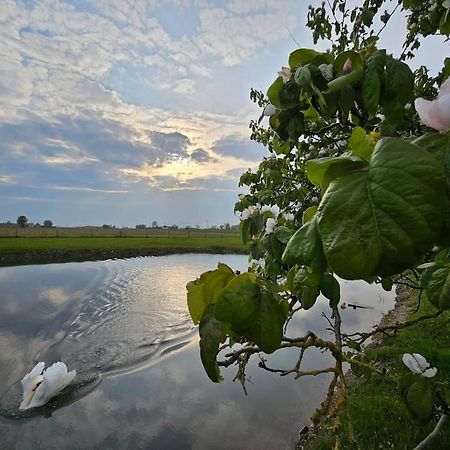 Te Lande, Vakantiehuis Villa Veurne Exteriör bild