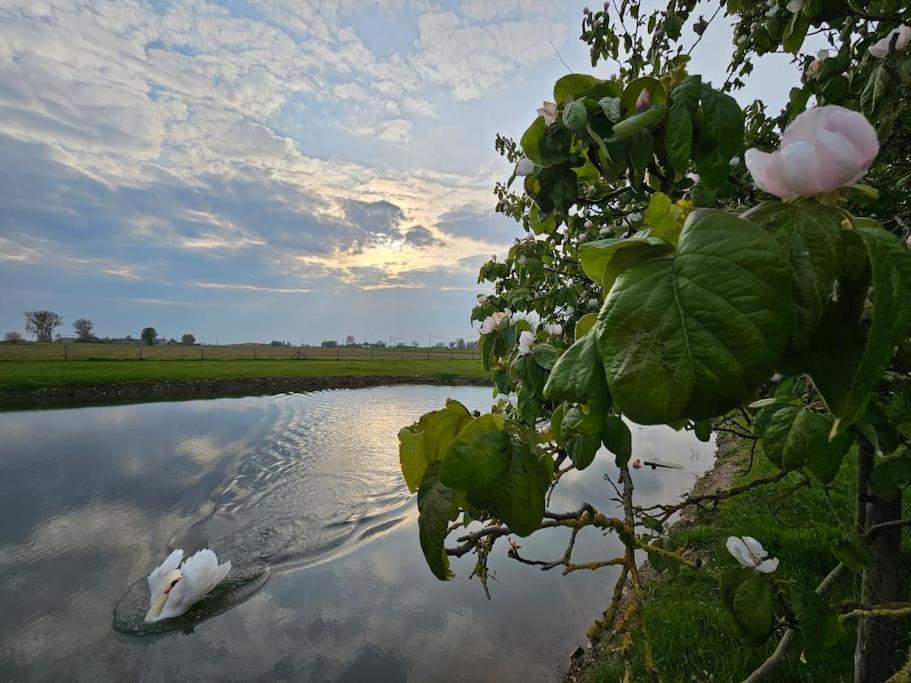 Te Lande, Vakantiehuis Villa Veurne Exteriör bild